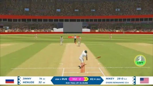 Real World Cricket Games 2024 screenshot 3