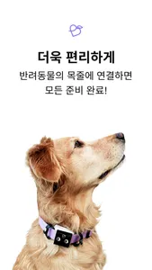 케어테일 screenshot 6