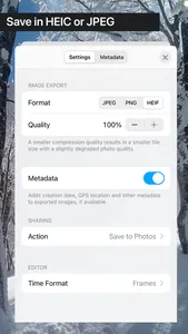 Save Frame screenshot 1