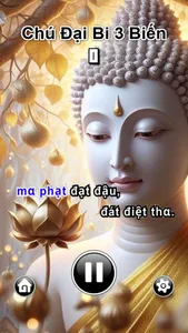 Chú Đại Bi - Chữ Chạy Rất Hay screenshot 6