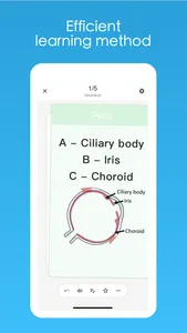 Cardary: Anki Pro screenshot 1