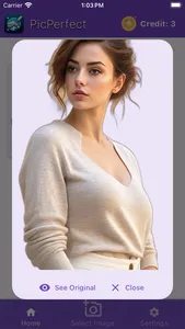 PicPerfectly screenshot 3