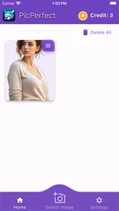 PicPerfectly screenshot 4