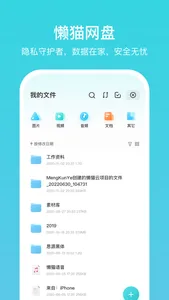 LCMD MicroServer screenshot 2