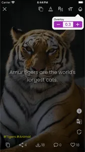 Amazing Facts - Did You Know? screenshot 4