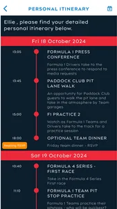 Alpine Formula 1 screenshot 3