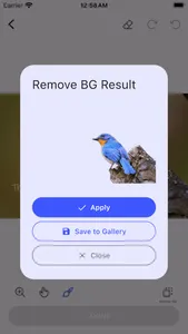 AInpainter - Remove objects screenshot 5