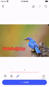 AInpainter - Remove objects screenshot 6