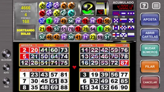 Megaball Video Bingo screenshot 1