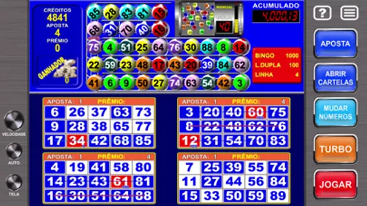 Megaball Video Bingo screenshot 3