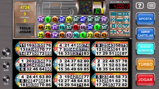 Megaball Video Bingo screenshot 6