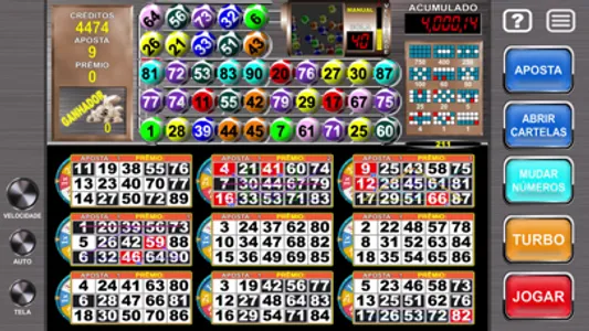 Megaball Video Bingo screenshot 7
