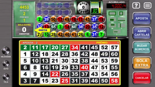 Megaball Video Bingo screenshot 8