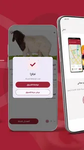 Kuwait livestock screenshot 3