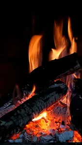 Cozy Fire: Bonfire Wallpapers screenshot 2