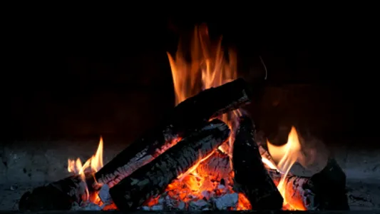 Cozy Fire: Bonfire Wallpapers screenshot 3