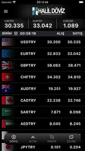 Halil Döviz screenshot 1