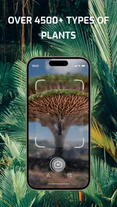 Flower ID: Flower Identifier screenshot 1