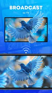 SPL - Smarter Player Lite screenshot 2