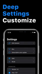 v2RayTun screenshot 2
