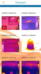 Major Tech Thermal-X screenshot 1