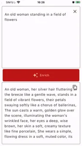 Enrich Prompt screenshot 2