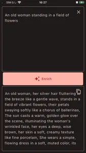 Enrich Prompt screenshot 3