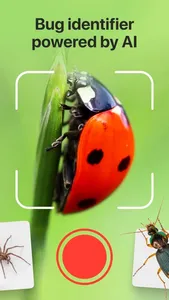 Bug Identifier: Insect, Spider screenshot 0