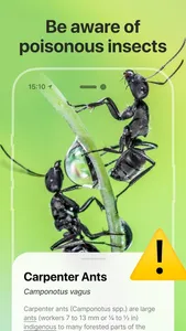 Bug Identifier: Insect, Spider screenshot 1