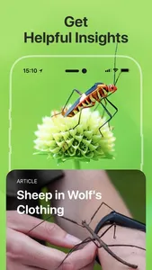 Bug Identifier: Insect, Spider screenshot 3
