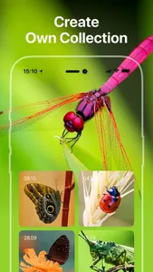 Bug Identifier: Insect, Spider screenshot 4