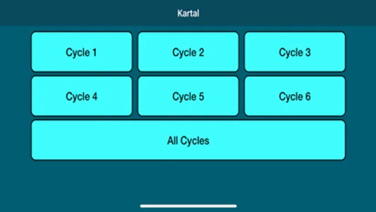 Kartal Instrument screenshot 1