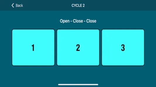 Kartal Instrument screenshot 2