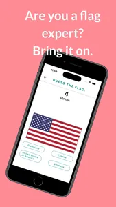 The Flag Master screenshot 0