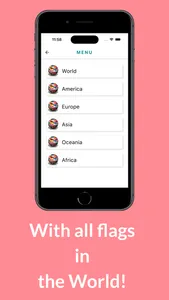 The Flag Master screenshot 2