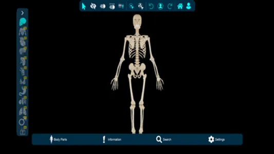 Vesalii Anatomy Student screenshot 1