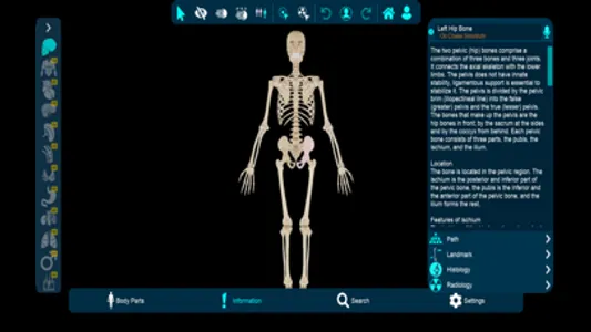 Vesalii Anatomy Student screenshot 2
