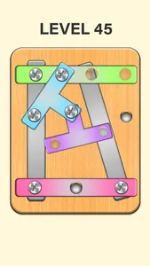Screw Nuts And Bolts Puzzle 3D screenshot 2