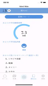 KireiSkin screenshot 2