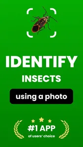 Bug Identifier: Insect Finder screenshot 0