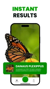 Bug Identifier: Insect Finder screenshot 1