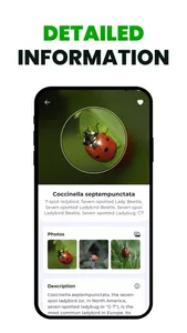 Bug Identifier: Insect Finder screenshot 2