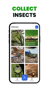 Bug Identifier: Insect Finder screenshot 3