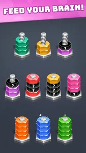 Nuts & Bolts - Screw Sort 3d screenshot 1