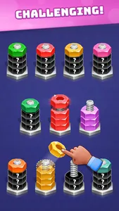 Nuts & Bolts - Screw Sort 3d screenshot 2