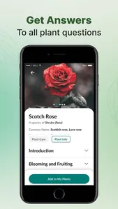 PlantOn - Ai Plant Identifier screenshot 3