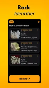 Rock Scanner: Stone Identifier screenshot 1