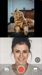 EZReact screenshot 0