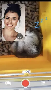 EZReact screenshot 3