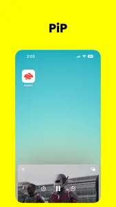 Rabbit - PiP Video Browser screenshot 2